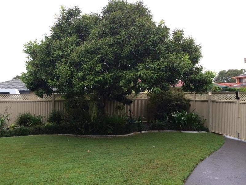 19 Whitecastle Street, Carindale QLD 4152