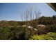 17 Wollundry Place, The Gap QLD 4061