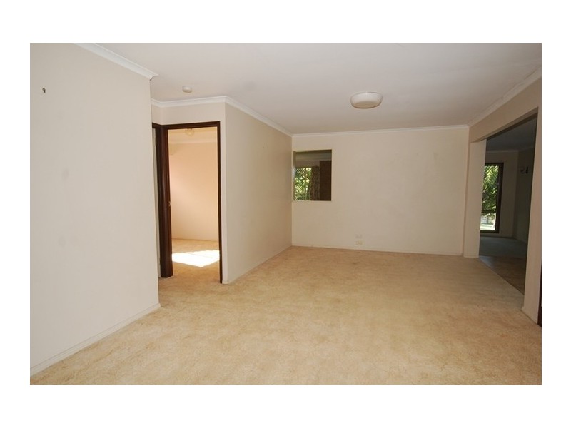 36 Duntreath Street, Keperra QLD 4054