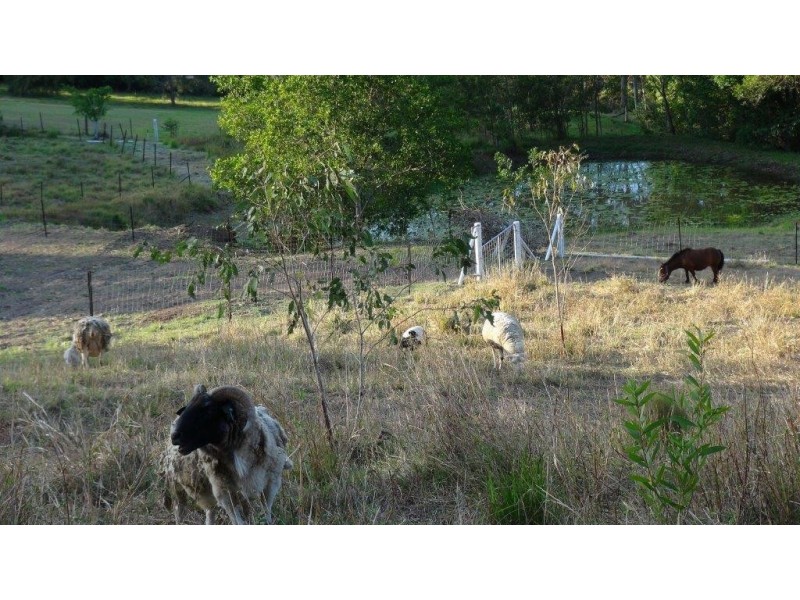 1 Seib Road, Eumundi QLD 4562