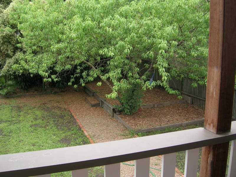 19 Farm Street, Newmarket QLD 4051