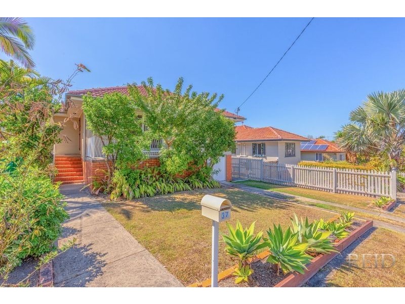37 Chater Street, Carina QLD 4152