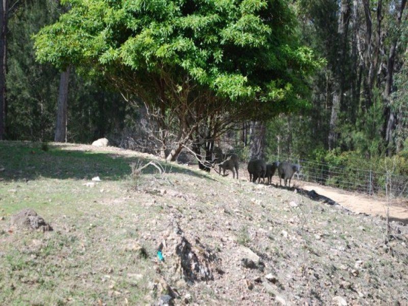 15 Bald Hills Rd, Bald Hills NSW 2549