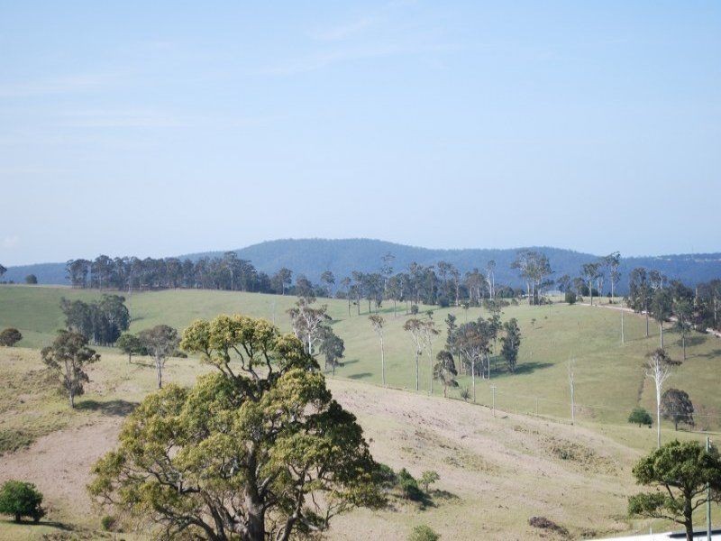 379 Bald Hills Rd, Bald Hills NSW 2549