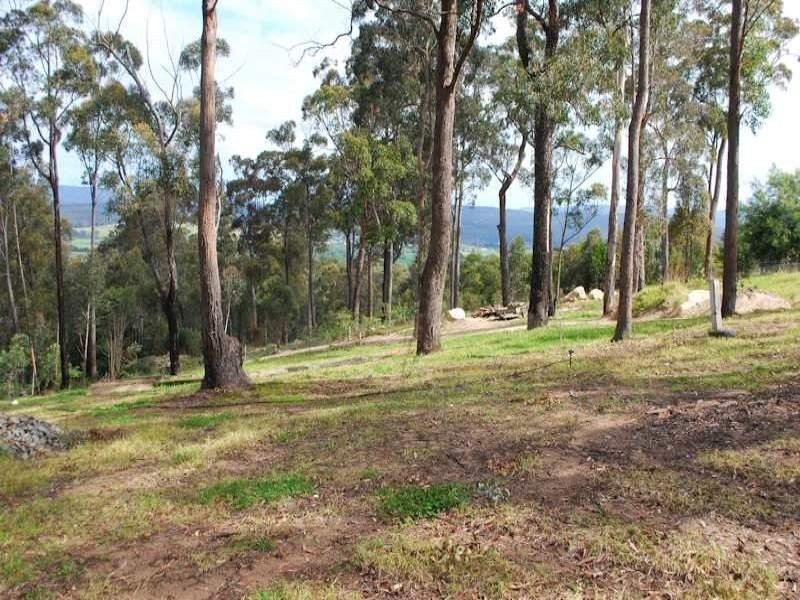 lot 51 Bald Hills Road, Bald Hills NSW 2549