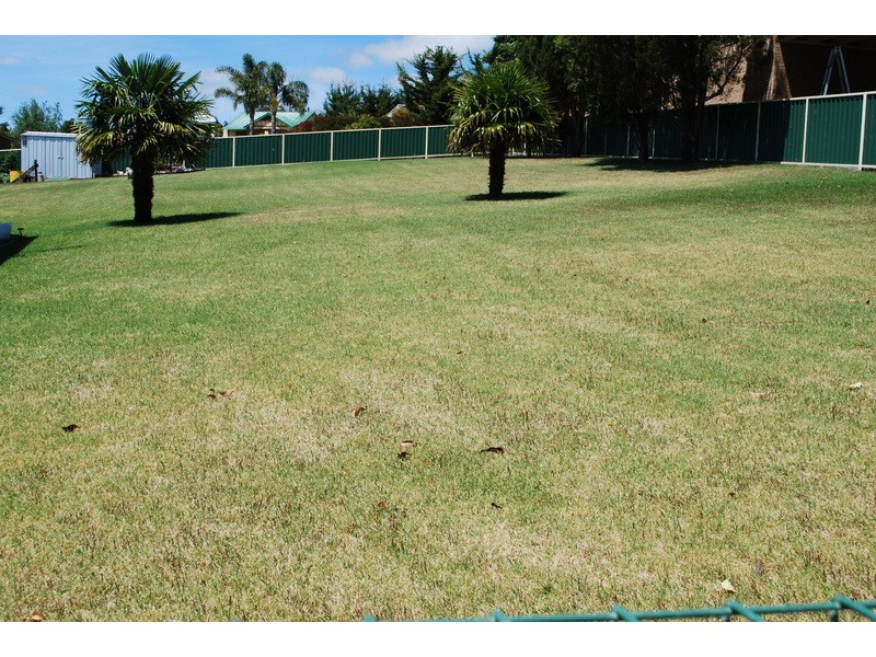 20 Pitt Street, South Pambula NSW 2549