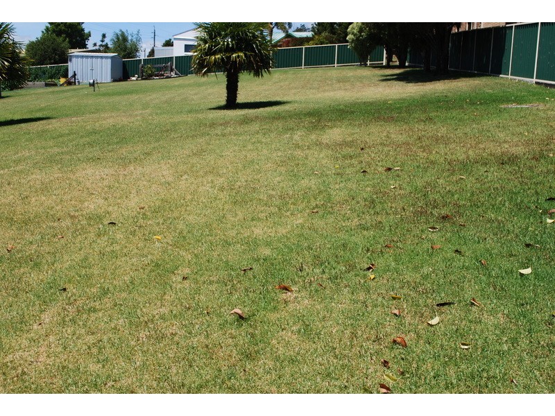 20 Pitt Street, South Pambula NSW 2549