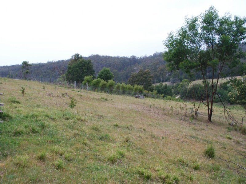 20 Belmont Drive, Bald Hills NSW 2549