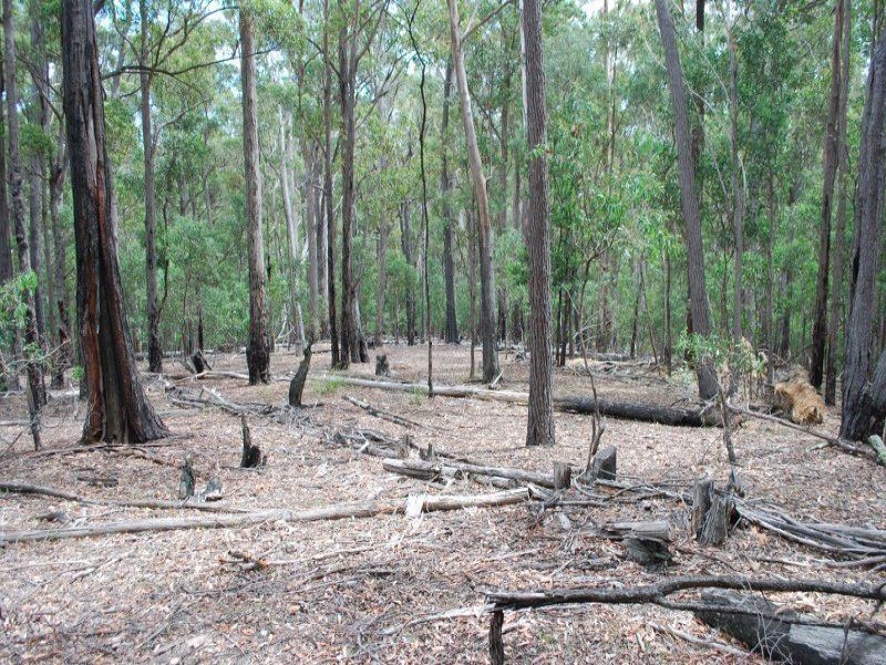 Lot 41 Red Gum Road, Yellow Pinch NSW 2548