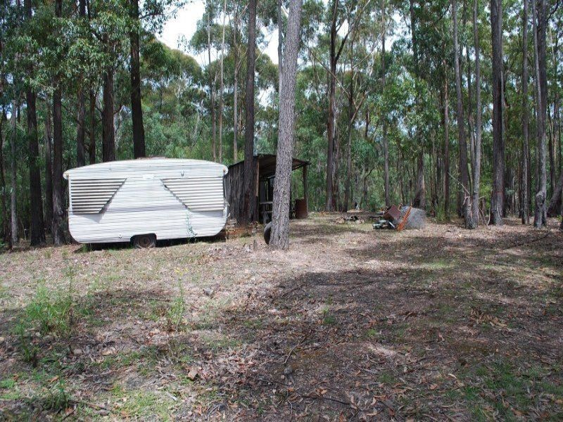 Lot 41 Red Gum Road, Yellow Pinch NSW 2548