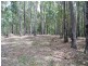 Lot 41 Red Gum Road, Yellow Pinch NSW 2548