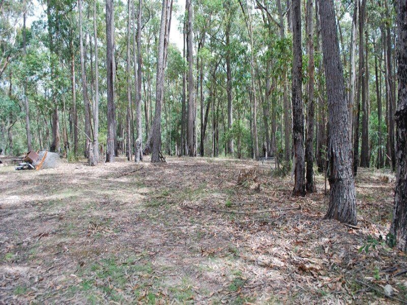 Lot 41 Red Gum Road, Yellow Pinch NSW 2548