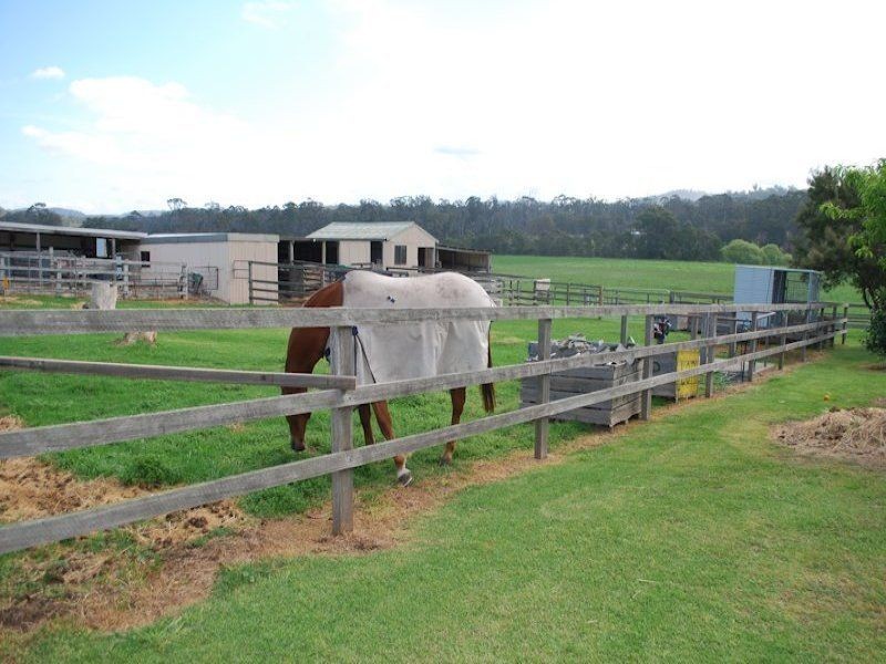 100 Yowaka River Rd, Greigs Flat NSW 2549