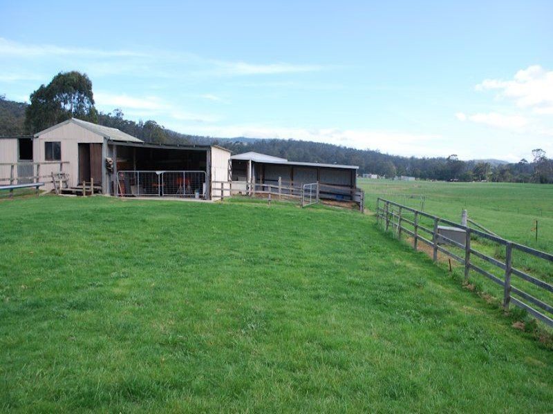 100 Yowaka River Rd, Greigs Flat NSW 2549
