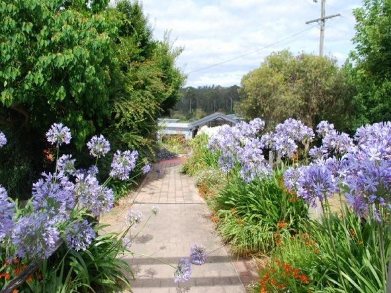 100 Yowaka River Rd, Greigs Flat NSW 2549