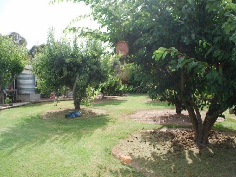 100 Yowaka River Rd, Greigs Flat NSW 2549