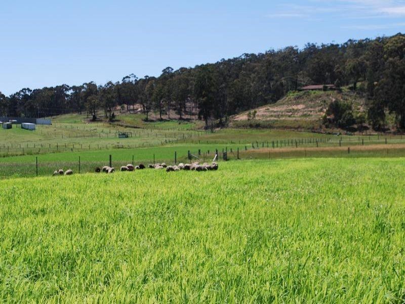 165 Yowaka River Road, Greigs Flat NSW 2549