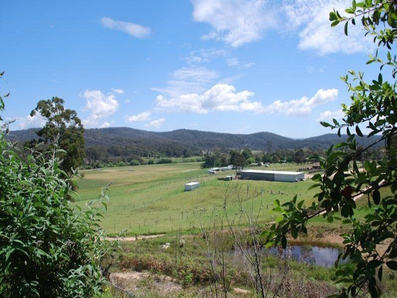 165 Yowaka River Road, Greigs Flat NSW 2549