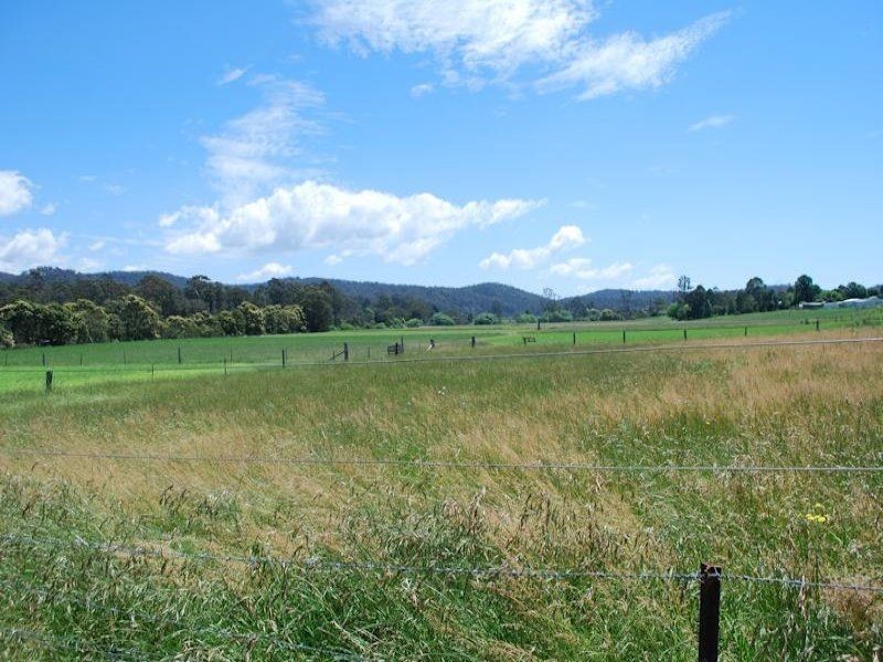 165 Yowaka River Road, Greigs Flat NSW 2549