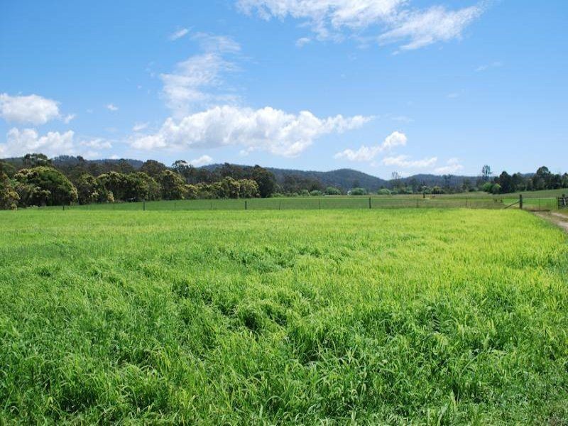 165 Yowaka River Road, Greigs Flat NSW 2549