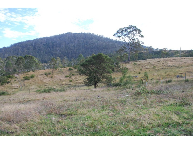 25 New Buildings Rd, Rocky Hall NSW 2550