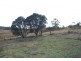 25 New Buildings Rd, Rocky Hall NSW 2550