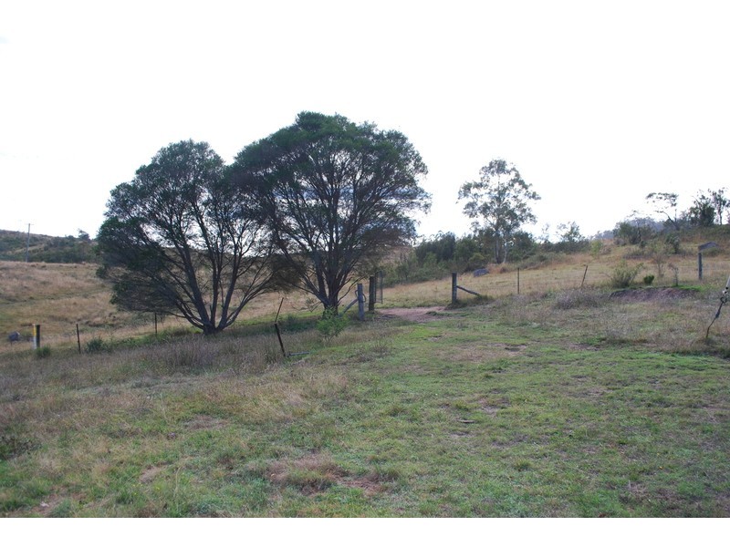 25 New Buildings Rd, Rocky Hall NSW 2550