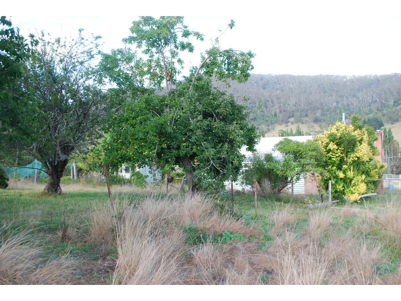 25 New Buildings Rd, Rocky Hall NSW 2550