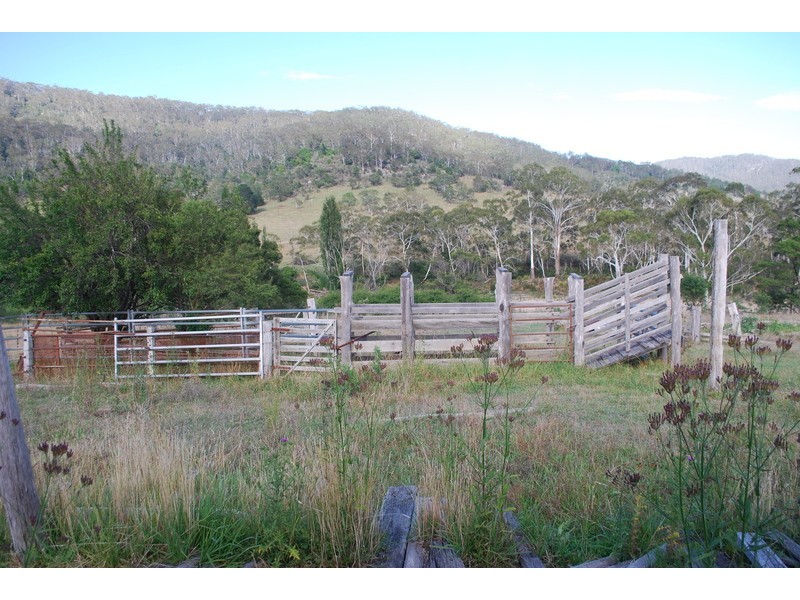 25 New Buildings Rd, Rocky Hall NSW 2550