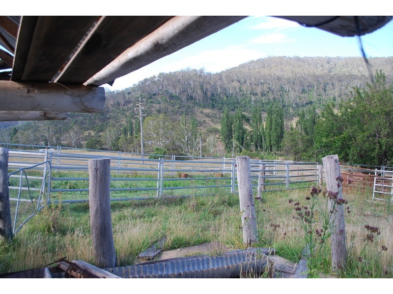 25 New Buildings Rd, Rocky Hall NSW 2550