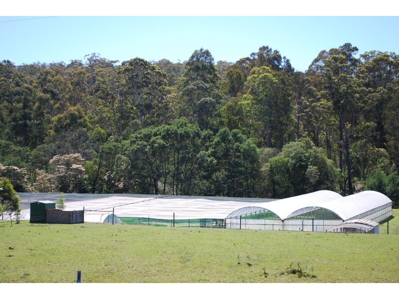 , Millingandi NSW 2549