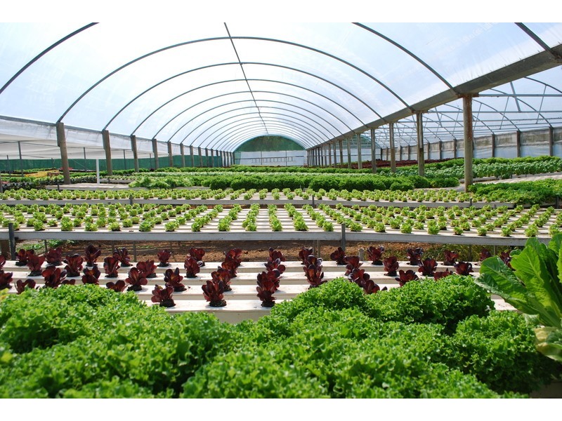 , Millingandi NSW 2549