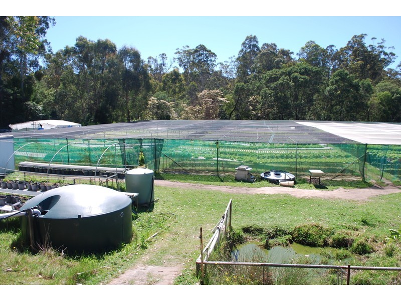 , Millingandi NSW 2549