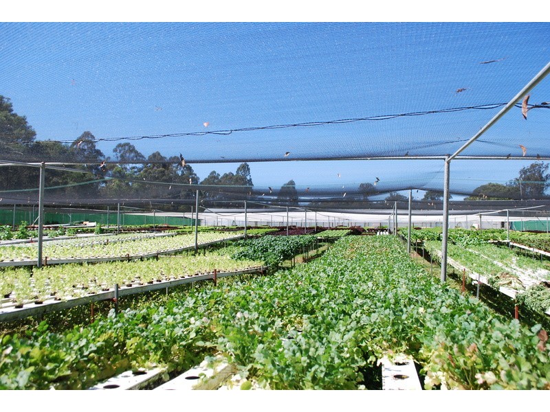 , Millingandi NSW 2549