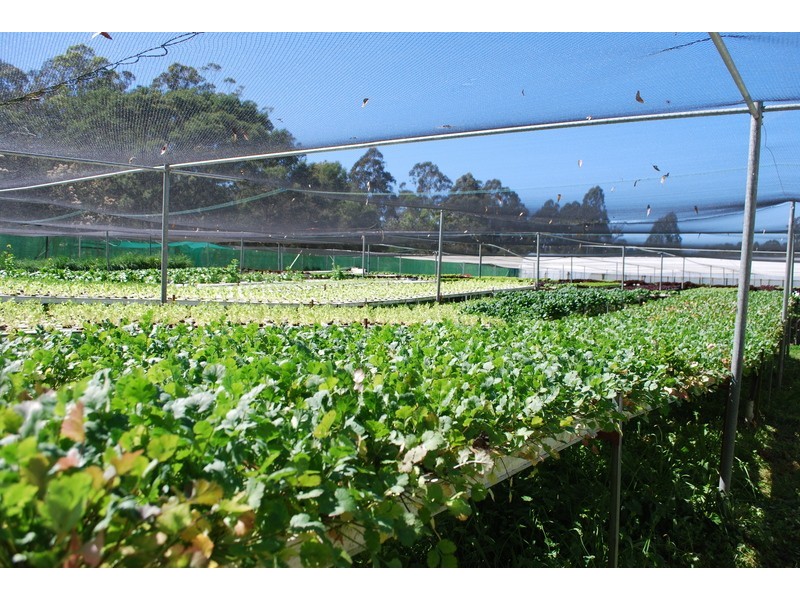 , Millingandi NSW 2549