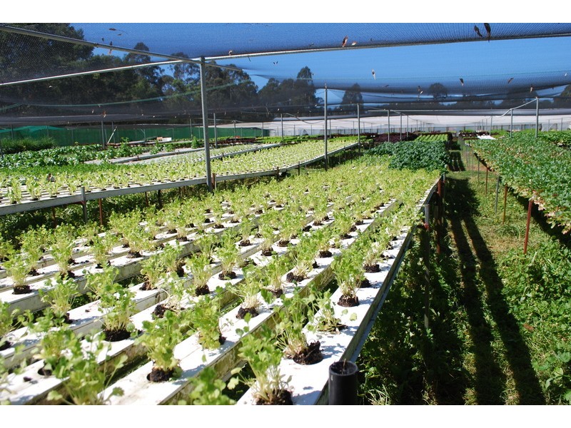 , Millingandi NSW 2549