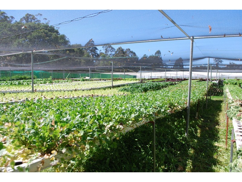 , Millingandi NSW 2549