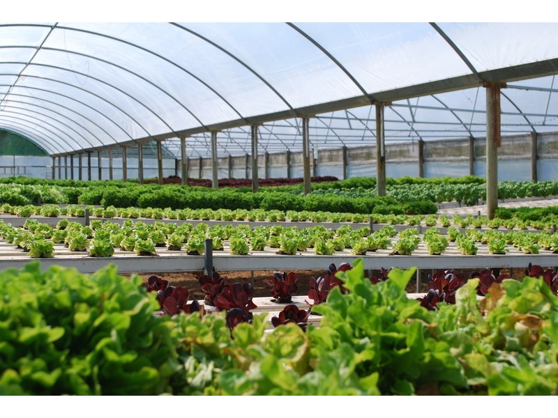 , Millingandi NSW 2549