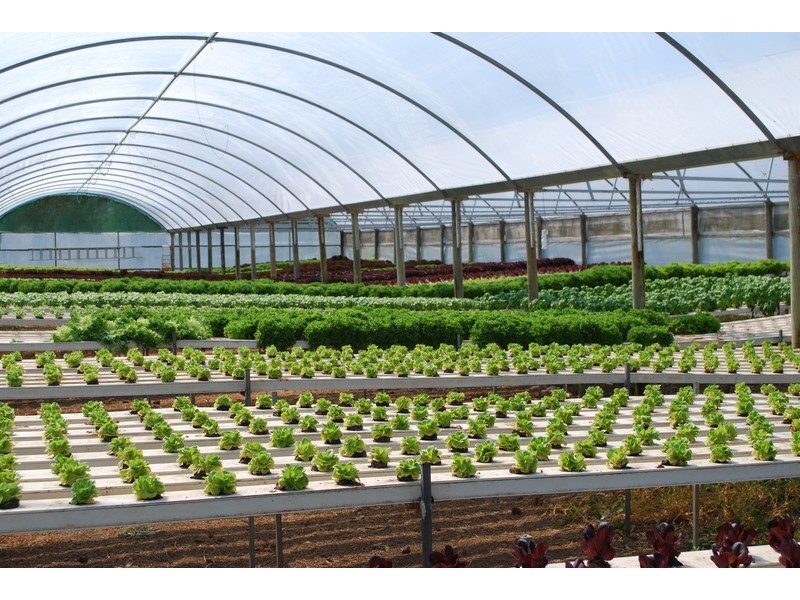 , Millingandi NSW 2549