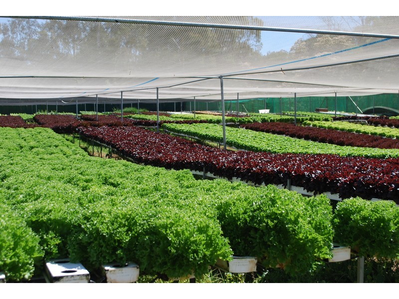 , Millingandi NSW 2549