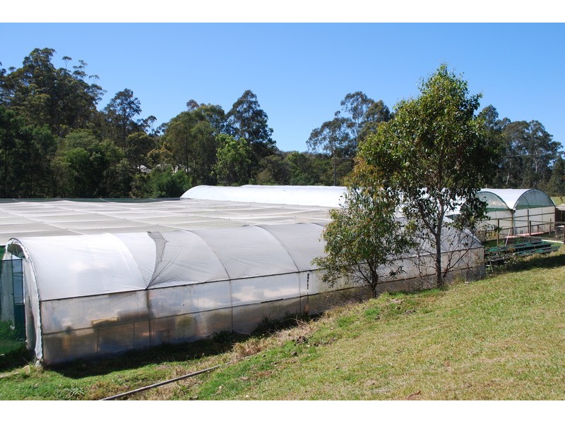 , Millingandi NSW 2549