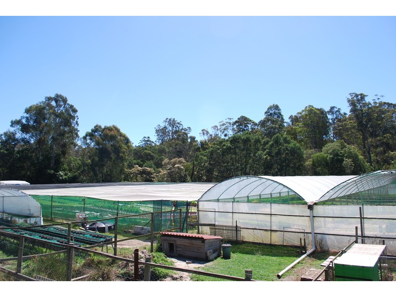 , Millingandi NSW 2549