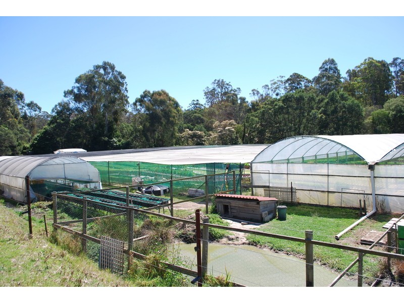 , Millingandi NSW 2549