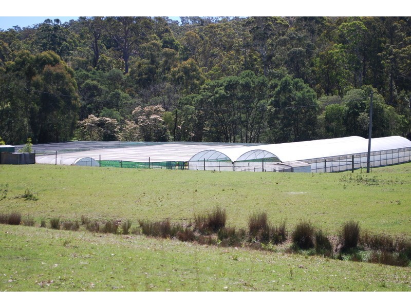 , Millingandi NSW 2549