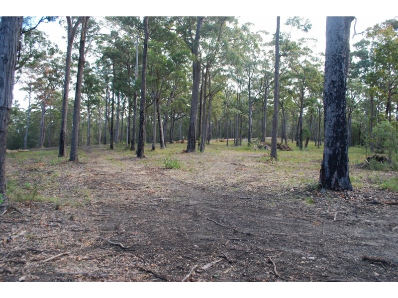Lot 241 – 244 Millingandi Ridge Road, Millingandi NSW 2549