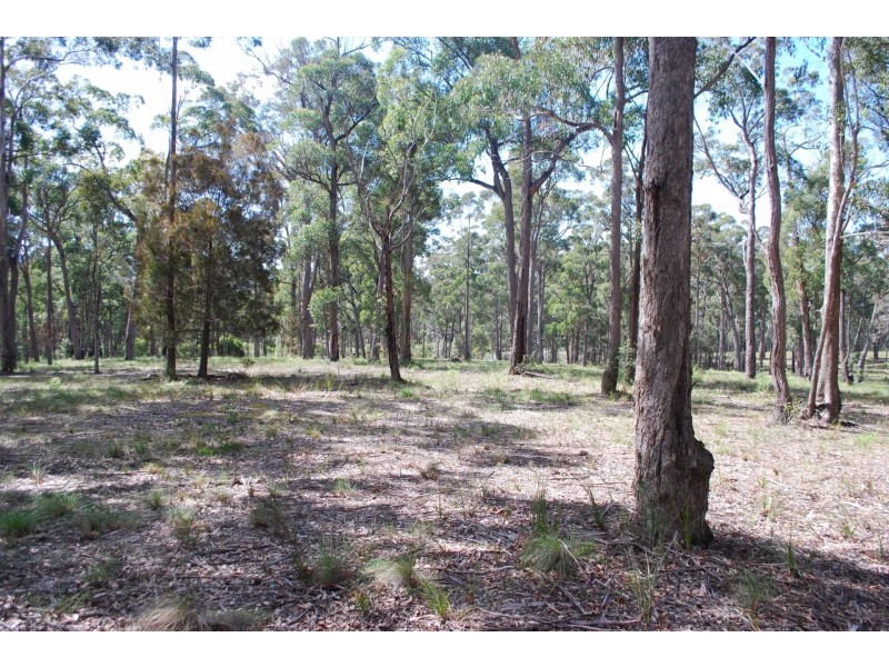 Lot 241 – 244 Millingandi Ridge Road, Millingandi NSW 2549