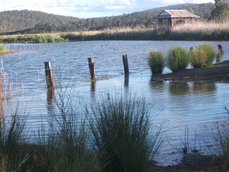 Idlewilde Town & Country Motor Inn/46 Bullara Street, Pambula NSW 2549