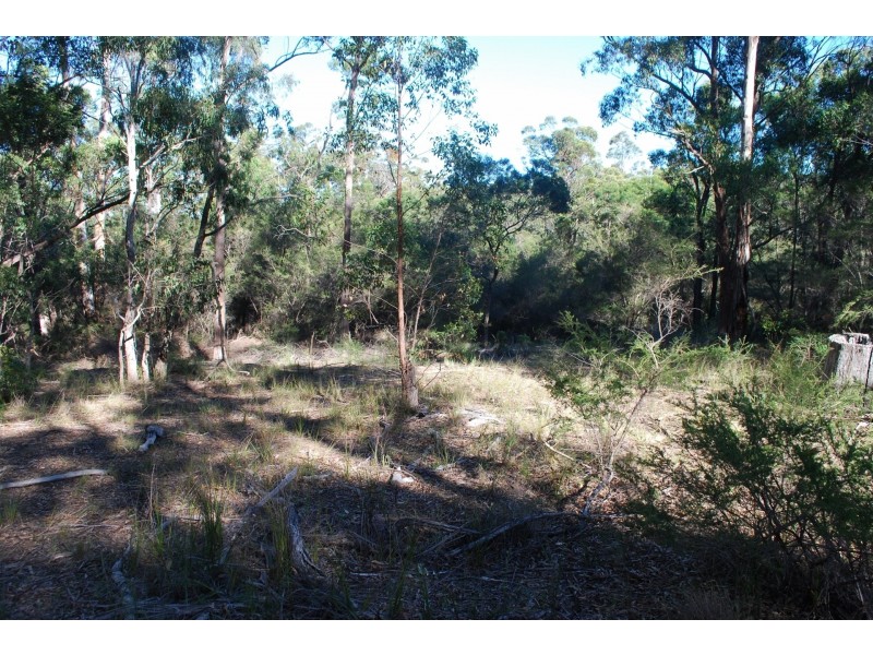 Lot 4  Karuka Close, Bald Hills NSW 2549
