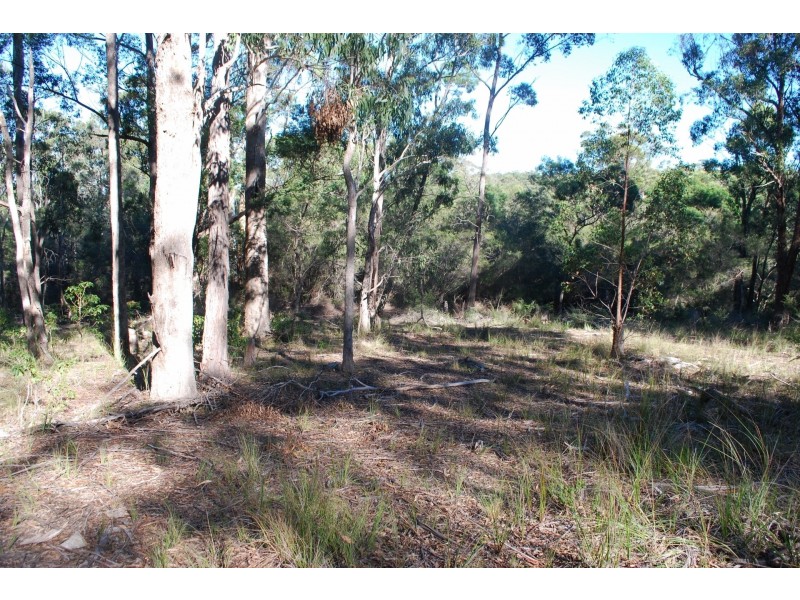 Lot 4  Karuka Close, Bald Hills NSW 2549