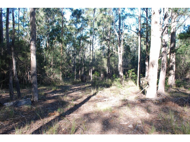Lot 4  Karuka Close, Bald Hills NSW 2549